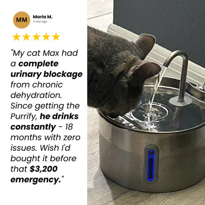 Protect your cat from dehydration and urinary emergencies with Purrify