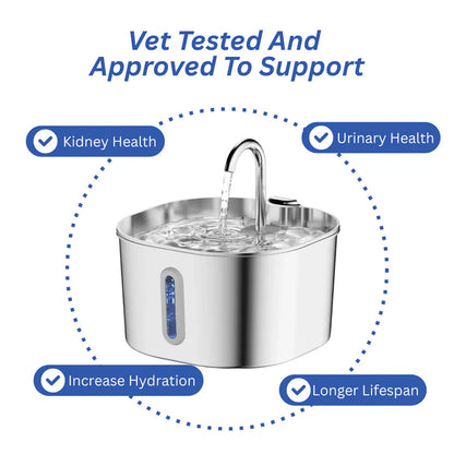 Protect your cat from dehydration and urinary emergencies with Purrify