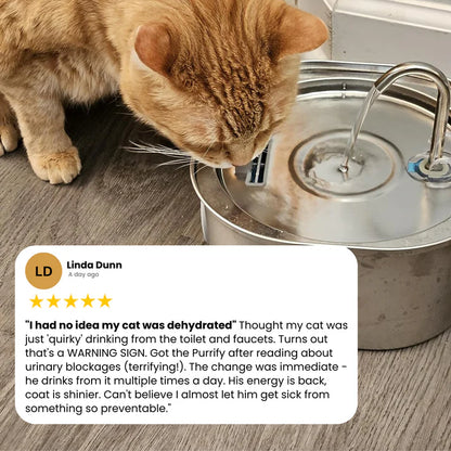 Protect your cat from dehydration and urinary emergencies with Purrify
